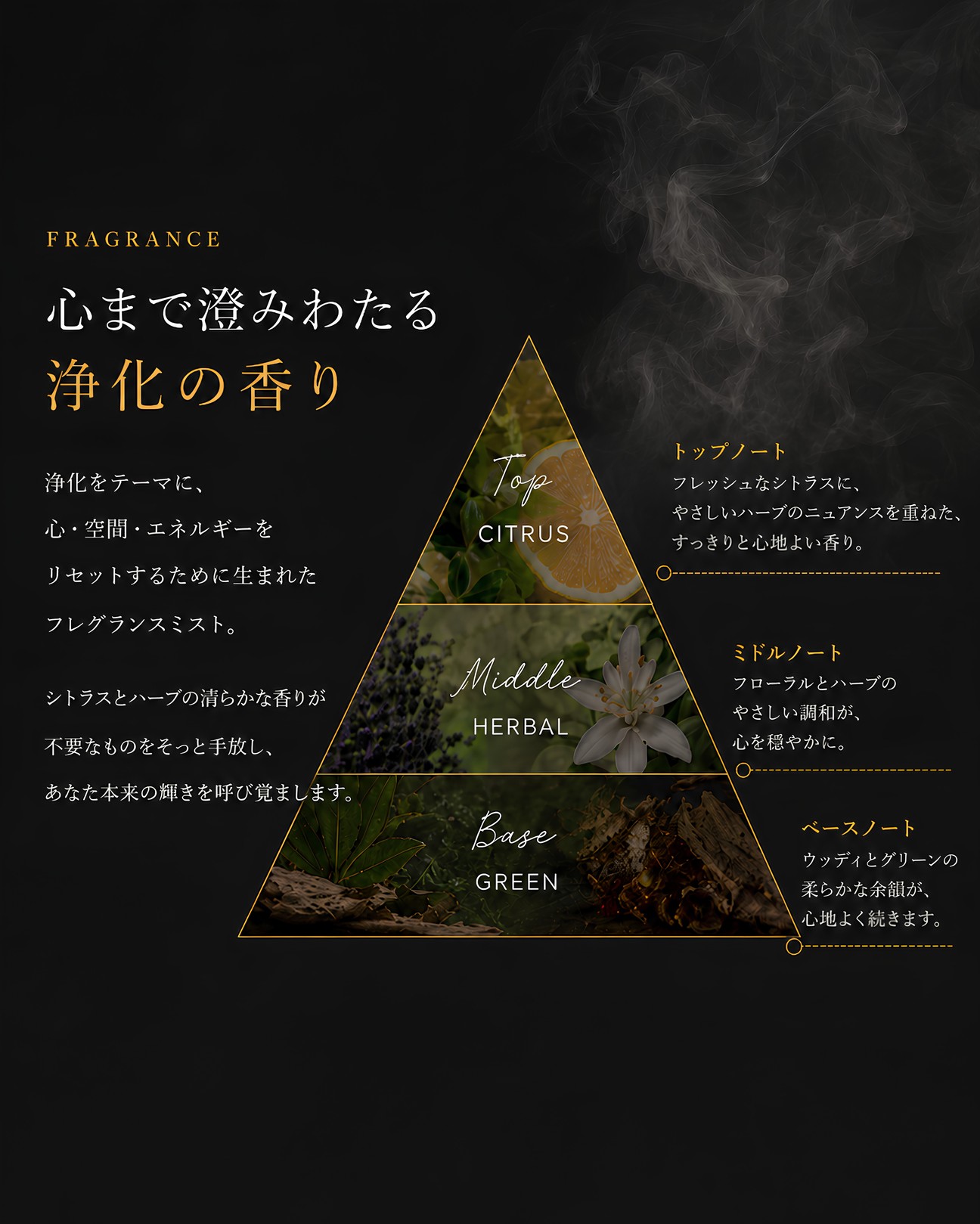 清らかさの奥に、少しの神秘を。Top CITRUS / Middle HERBAL / Base GREEN