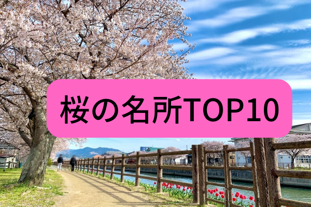 2023年の桜の名所ランキングを一挙ご紹介のイメージ画像
