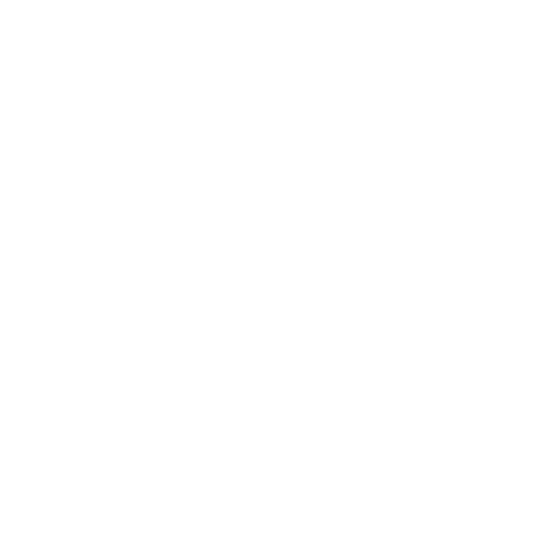 Genie